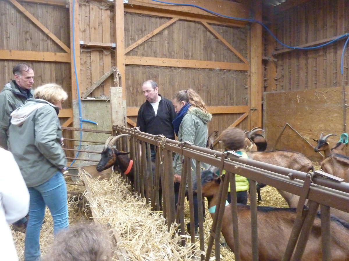 La chévrerie La chévrerie